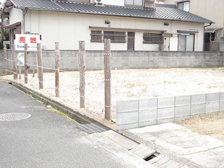 Tv摜